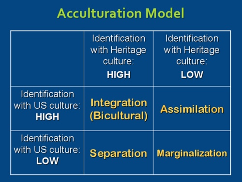 Acculturation 4 Ways To Adjust To A New Culture Hoai Thu Truong